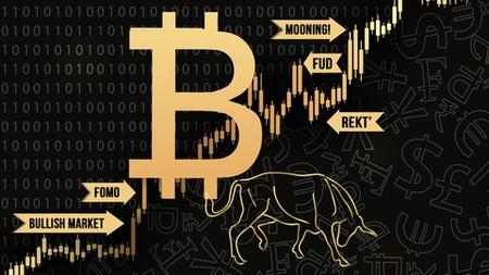Bitcoin Trading & Bitcoin Mining Crypto Slang Course
