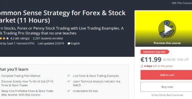 Download Common Sense Strategy for Forex & Stock Market (11 Hours)