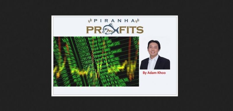 [Download] Piranha Profits - Stock Trading Course Level 1 Profit Snapper