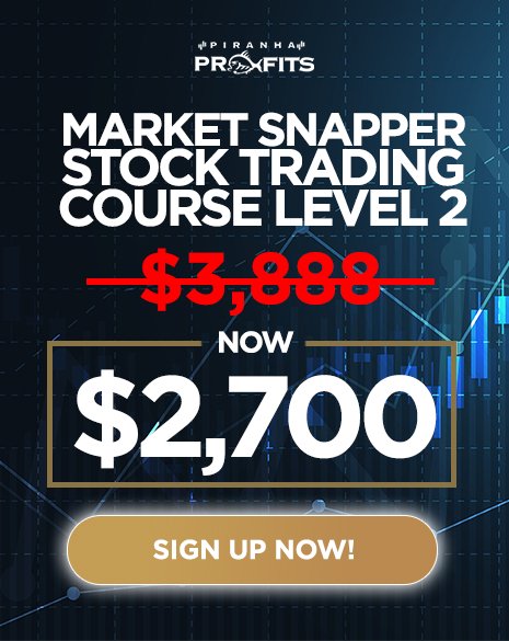 Piranha Profits - Stock Trading Course Level 2: Market Snapper